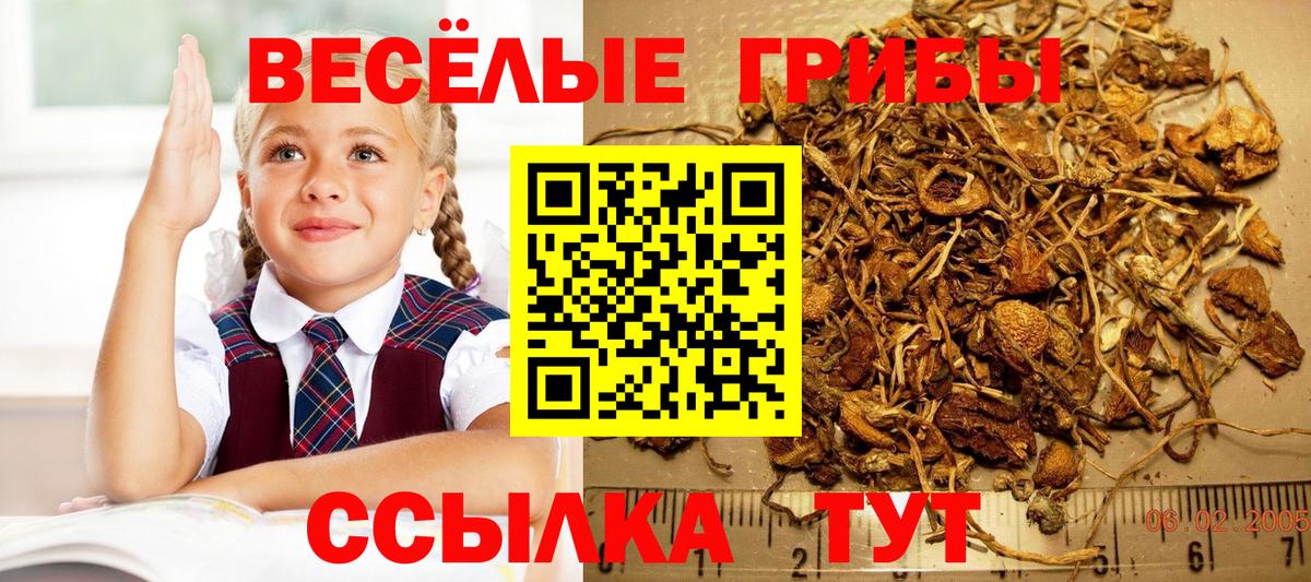 Псилоцибиновые грибы мухоморы Дзержинск