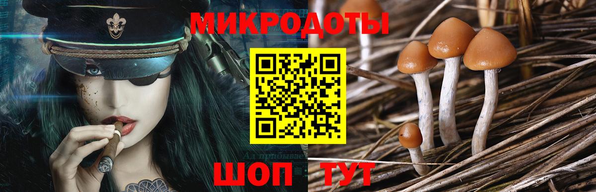 Дзержинск  Галлюциногенные грибы Cubensis  Псилоцибиновые грибы мицелий  где купить наркотик  Вход с VPN 