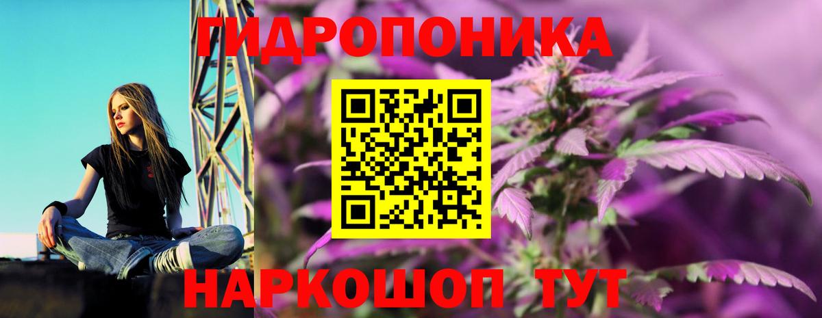 Каннабис семена  Конопля тримм  Шишки марихуана VHQ  Вход с VPN  Дзержинск  Каннабис индика 